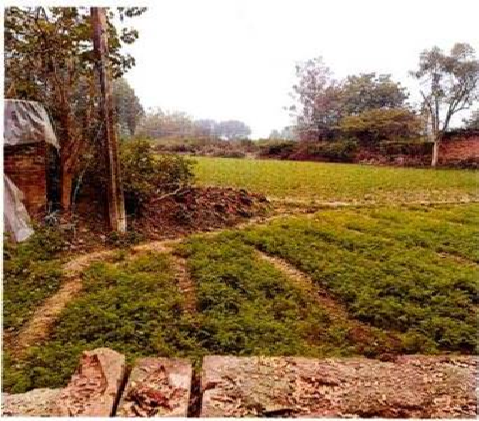 SHIVANI FRESH FOOD  03 238241